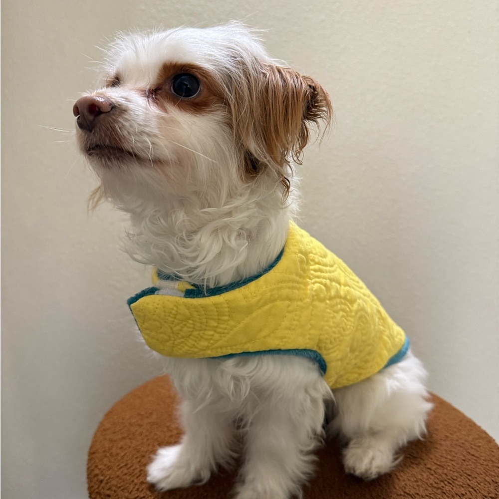 Yellow Quilted Dog Jacket